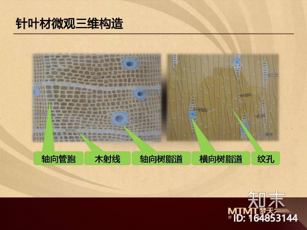 欧美风格整木设计资料cad施工图下载【ID:164853144】