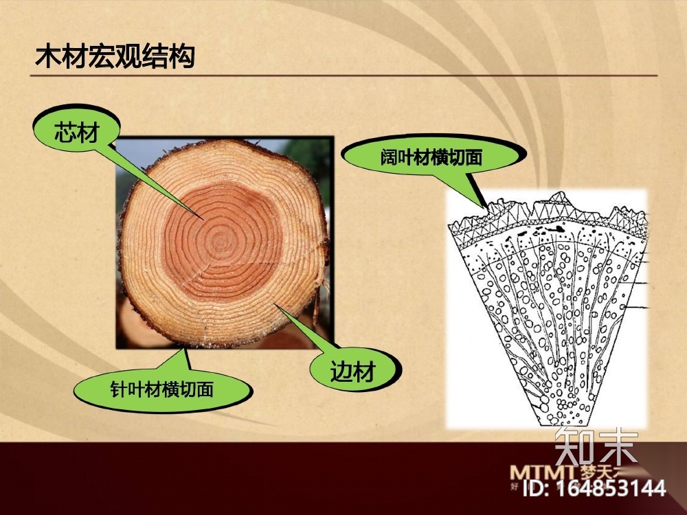 欧美风格整木设计资料cad施工图下载【ID:164853144】