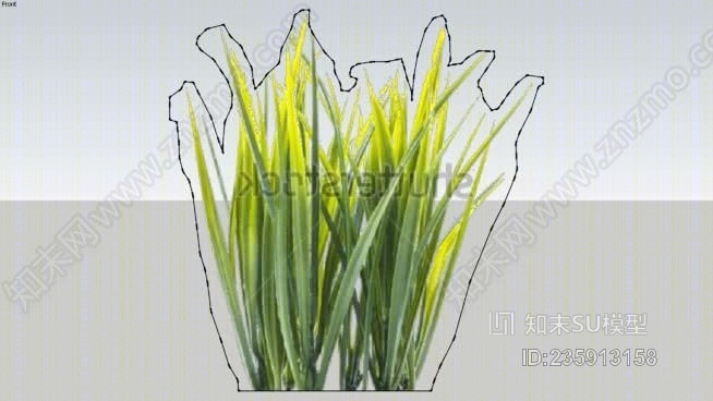 柠檬草SU模型下载【ID:235913158】