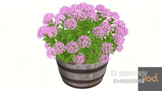 绣球04SU模型下载【ID:622020958】