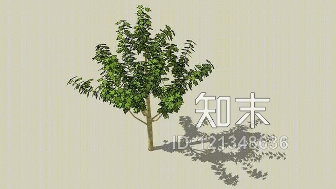 三维枫树SU模型下载【ID:121348636】