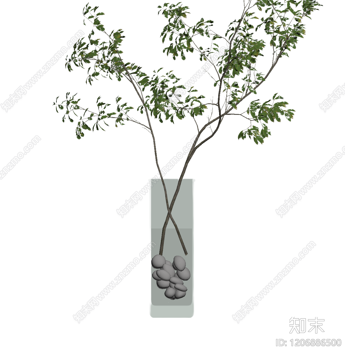 盆栽植物装饰3D模型下载【ID:1206886500】