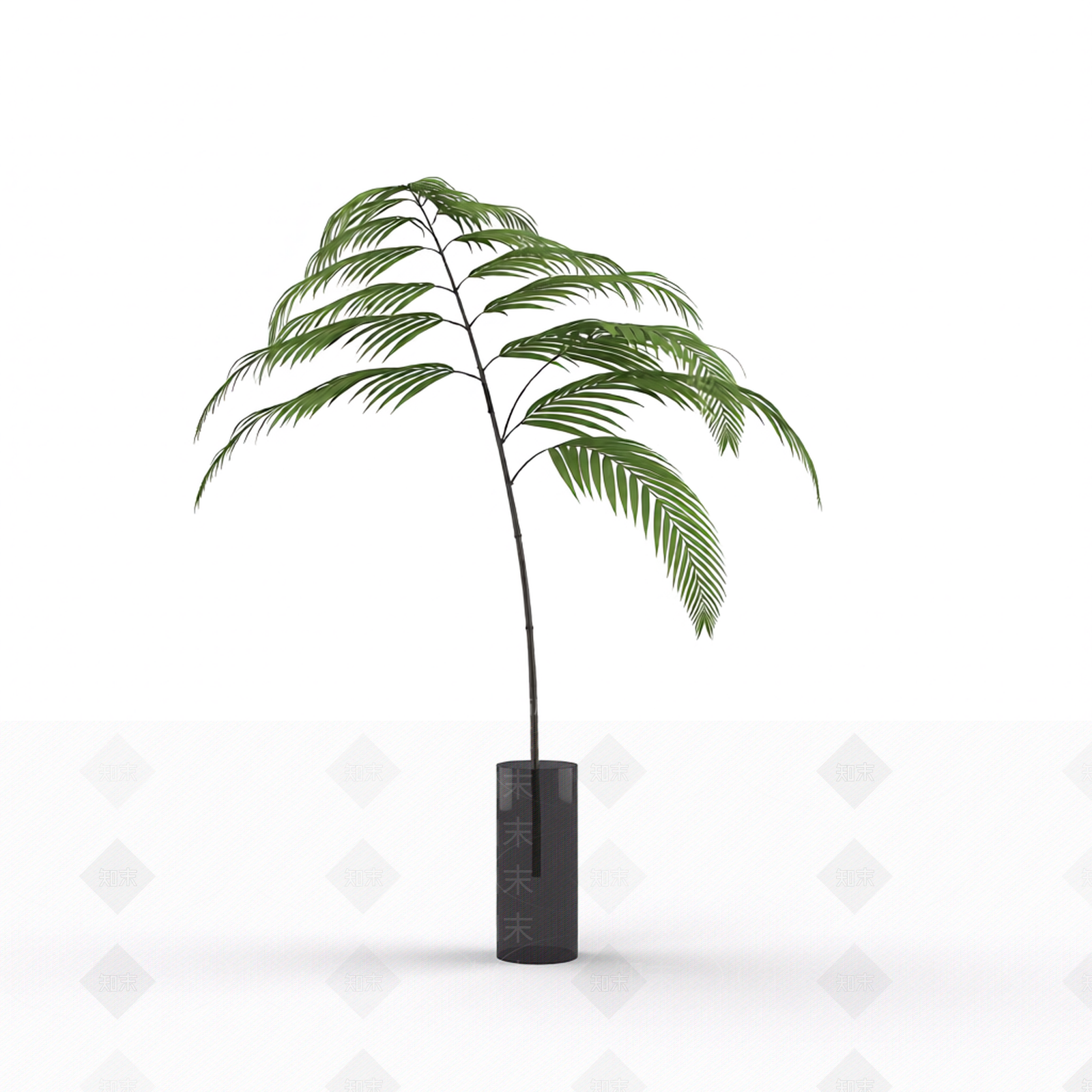 绿色枝叶植物模型3D模型下载【ID:1206191165】