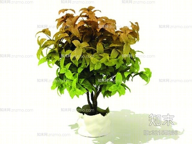 盆栽1093D模型下载【ID:32155286】