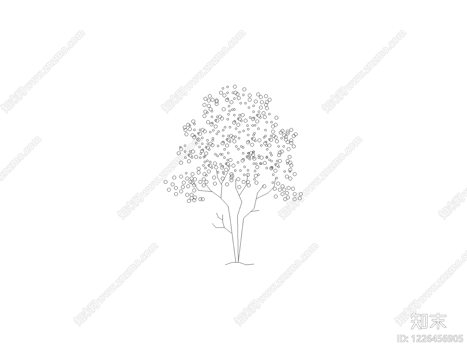 乔木种植CAD图纸