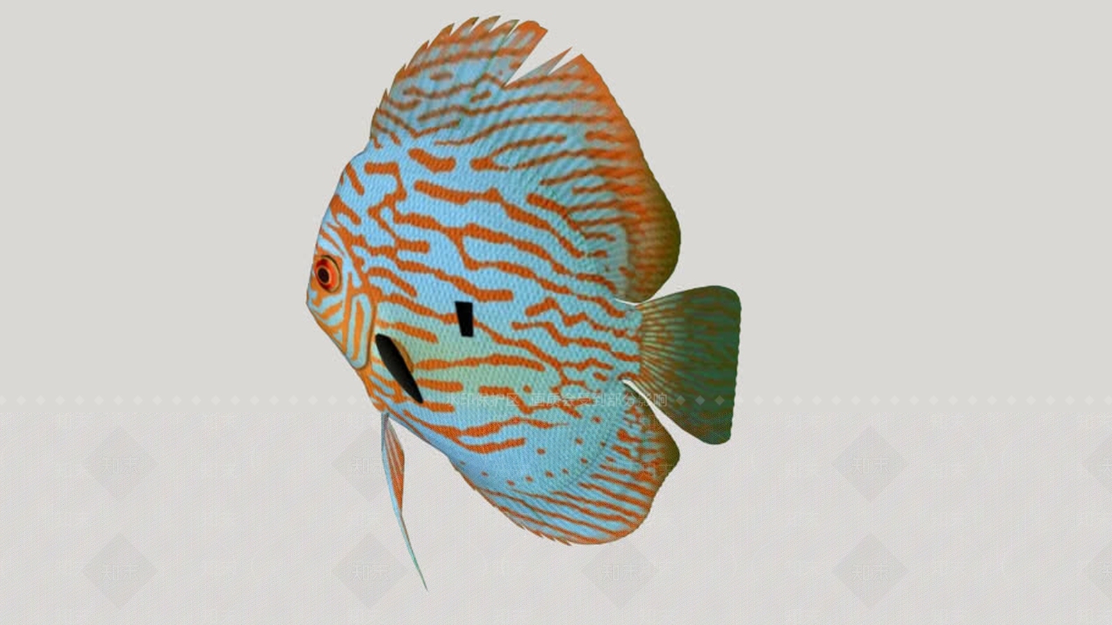 鱼SU模型下载【ID:1162056584】