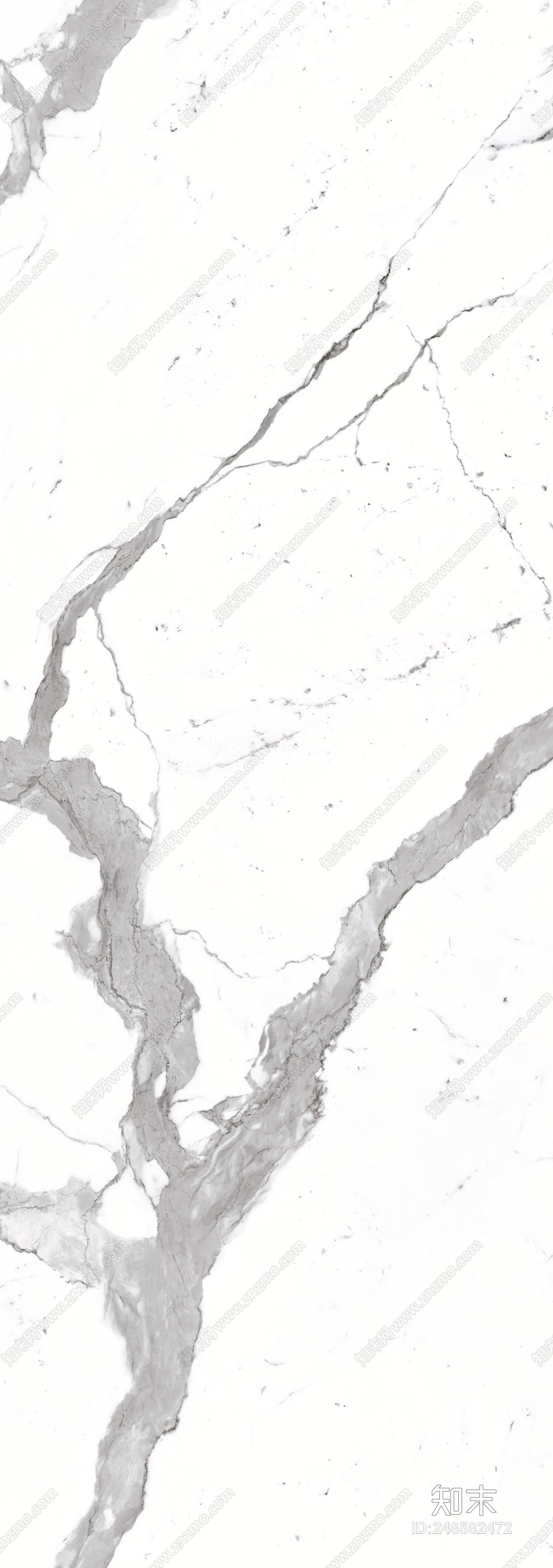 子非鱼贴图下载【ID:248582472】