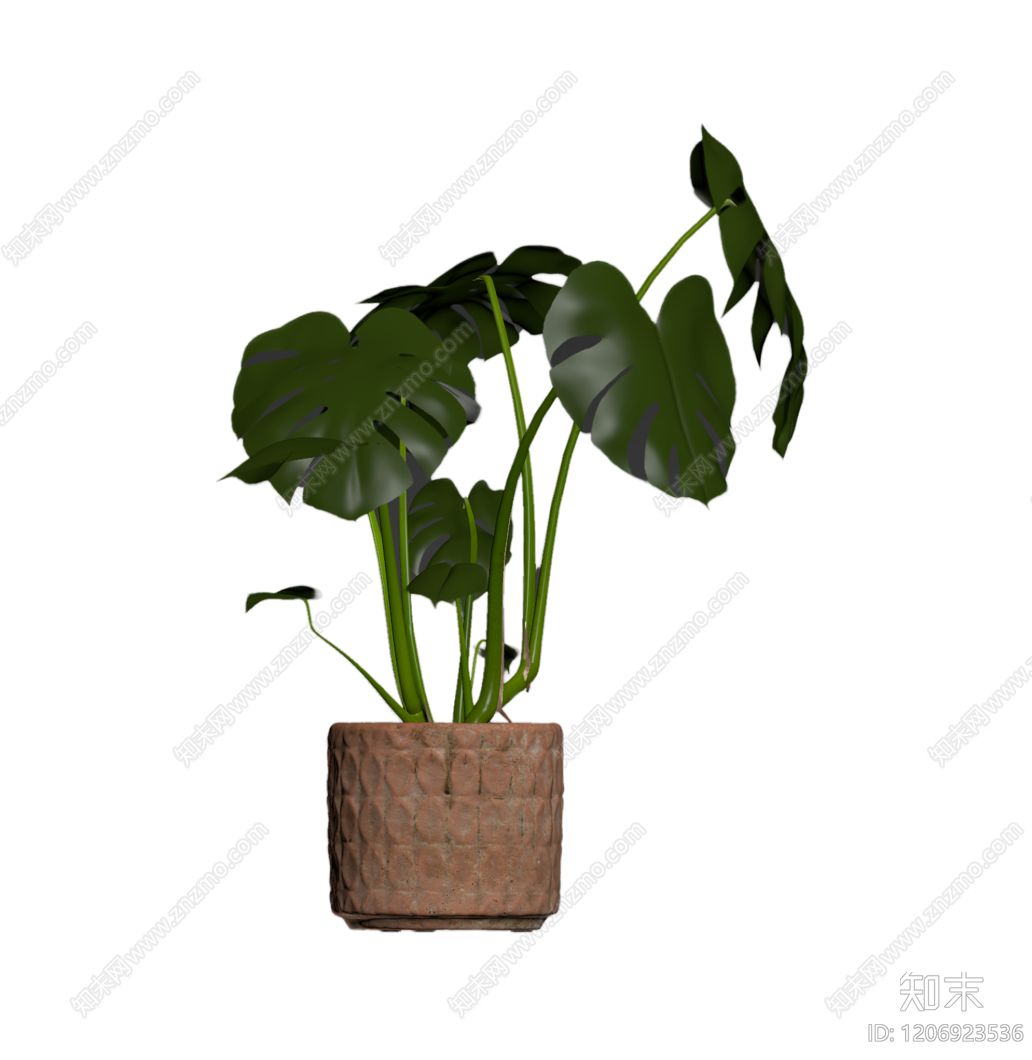 龟背竹盆栽装饰3D模型下载【ID:1206923536】