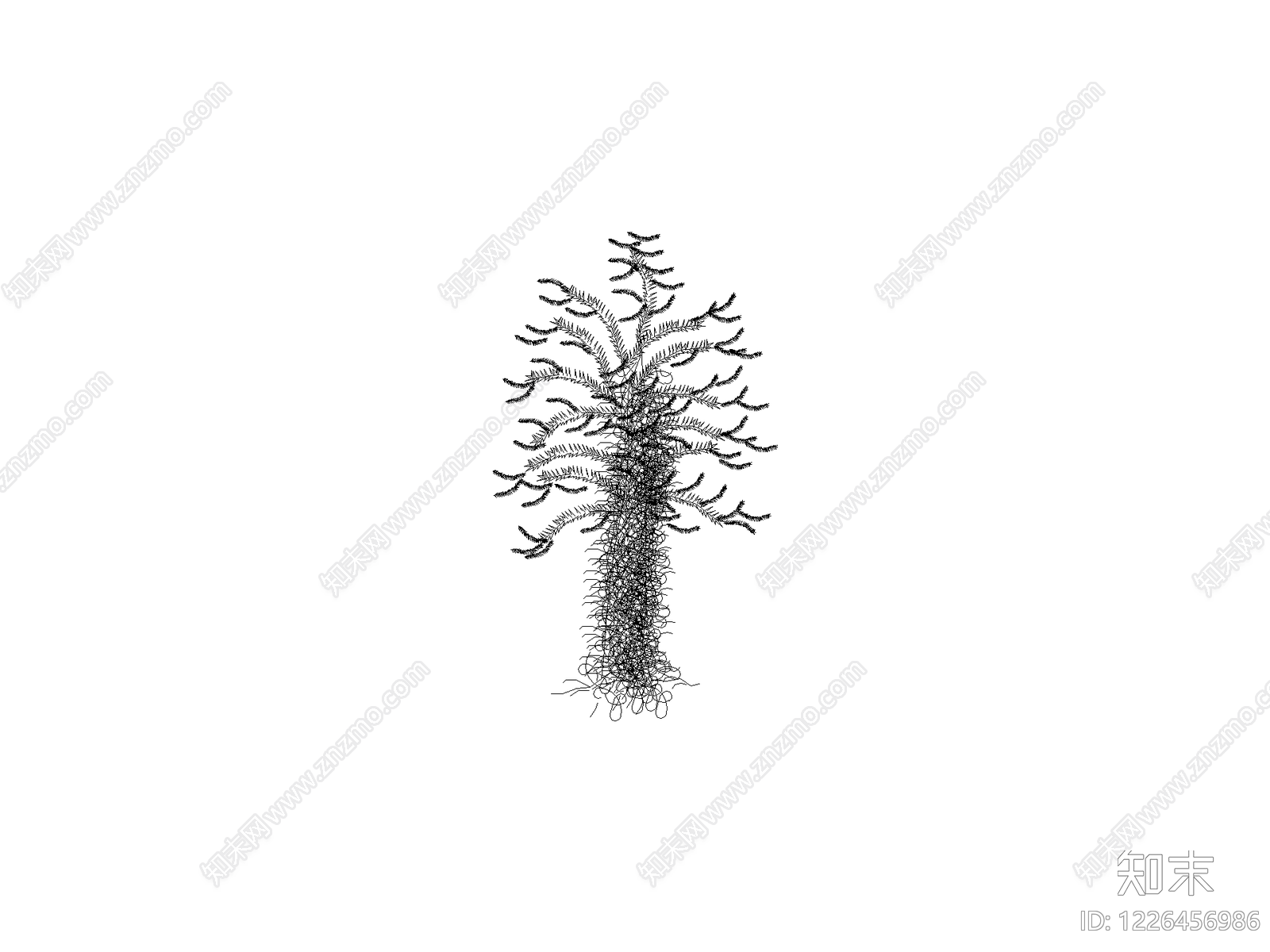 乔木种植CAD图纸