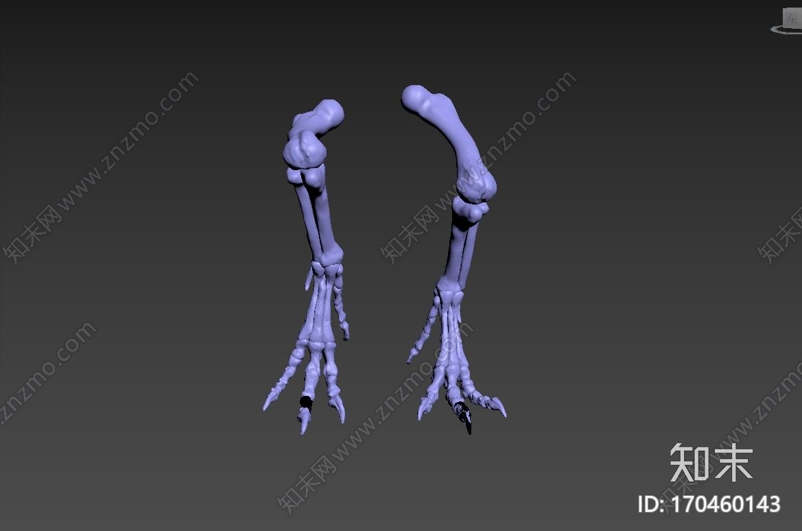 霸王龙腿骨3d打印模型下载【ID:170460143】