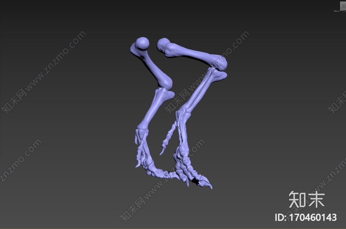 霸王龙腿骨3d打印模型下载【ID:170460143】