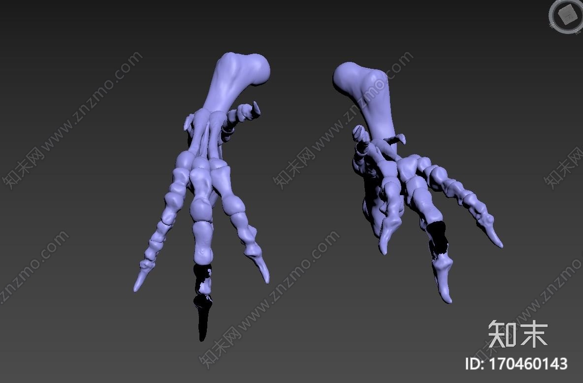 霸王龙腿骨3d打印模型下载【ID:170460143】