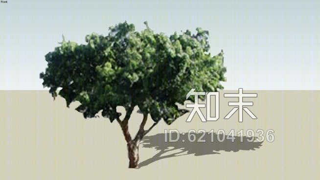 植物二维SU模型下载【ID:621041936】