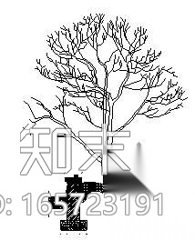 树阵广场和树池详细施工图cad施工图下载【ID:165723191】