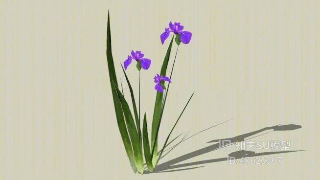 花SU模型下载【ID:47620307】