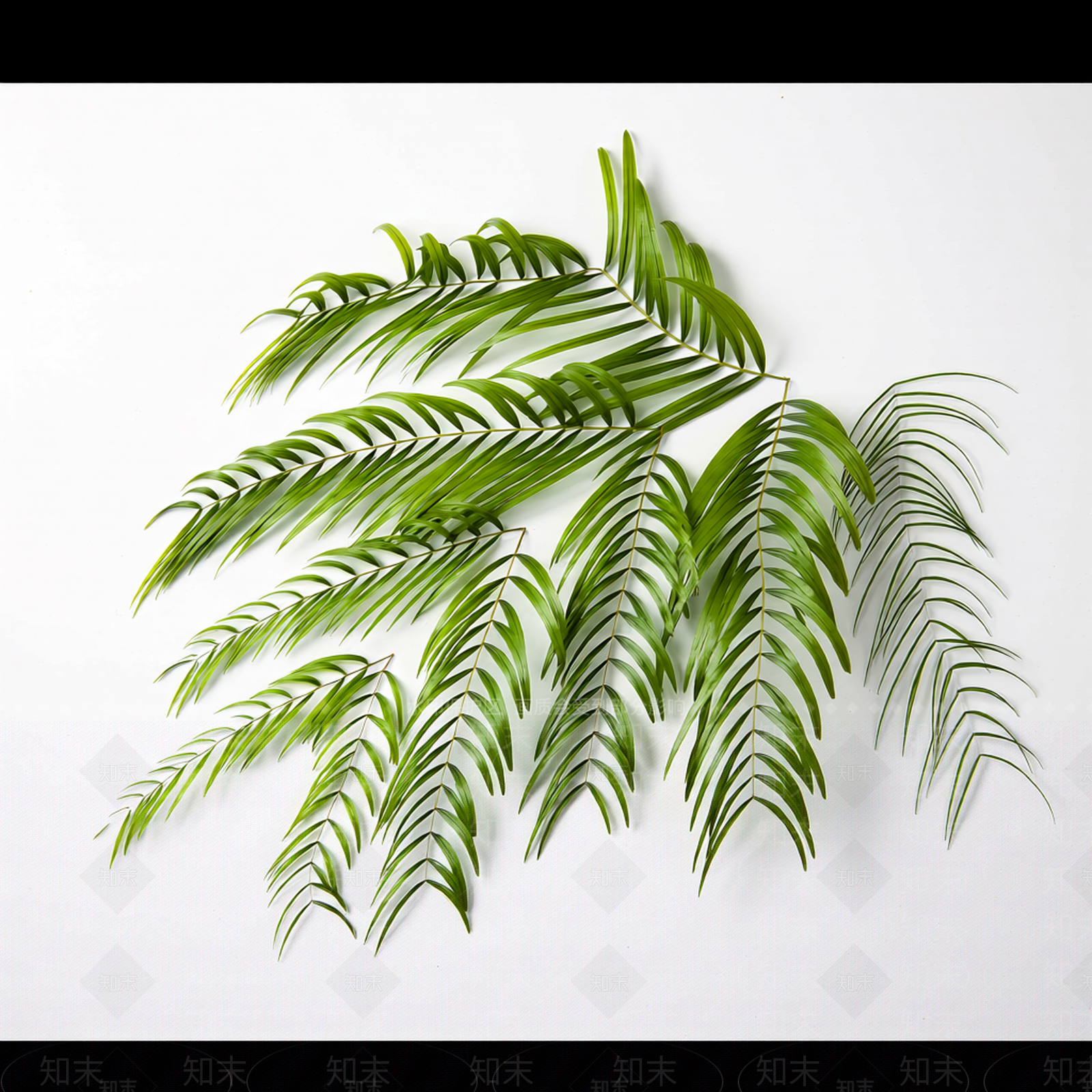 绿色植物枝叶模型3D模型下载【ID:1206191292】