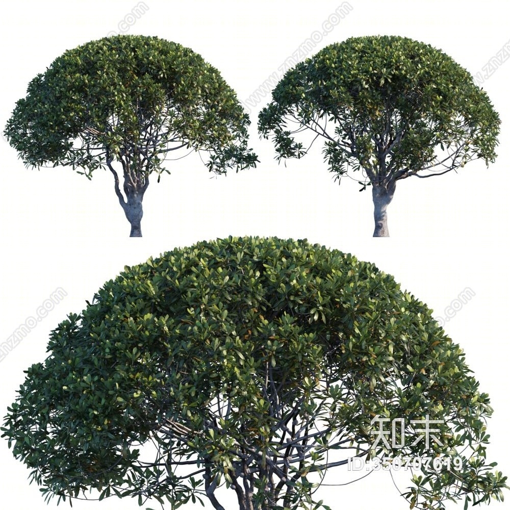 现代树木3D模型下载【ID:350707619】