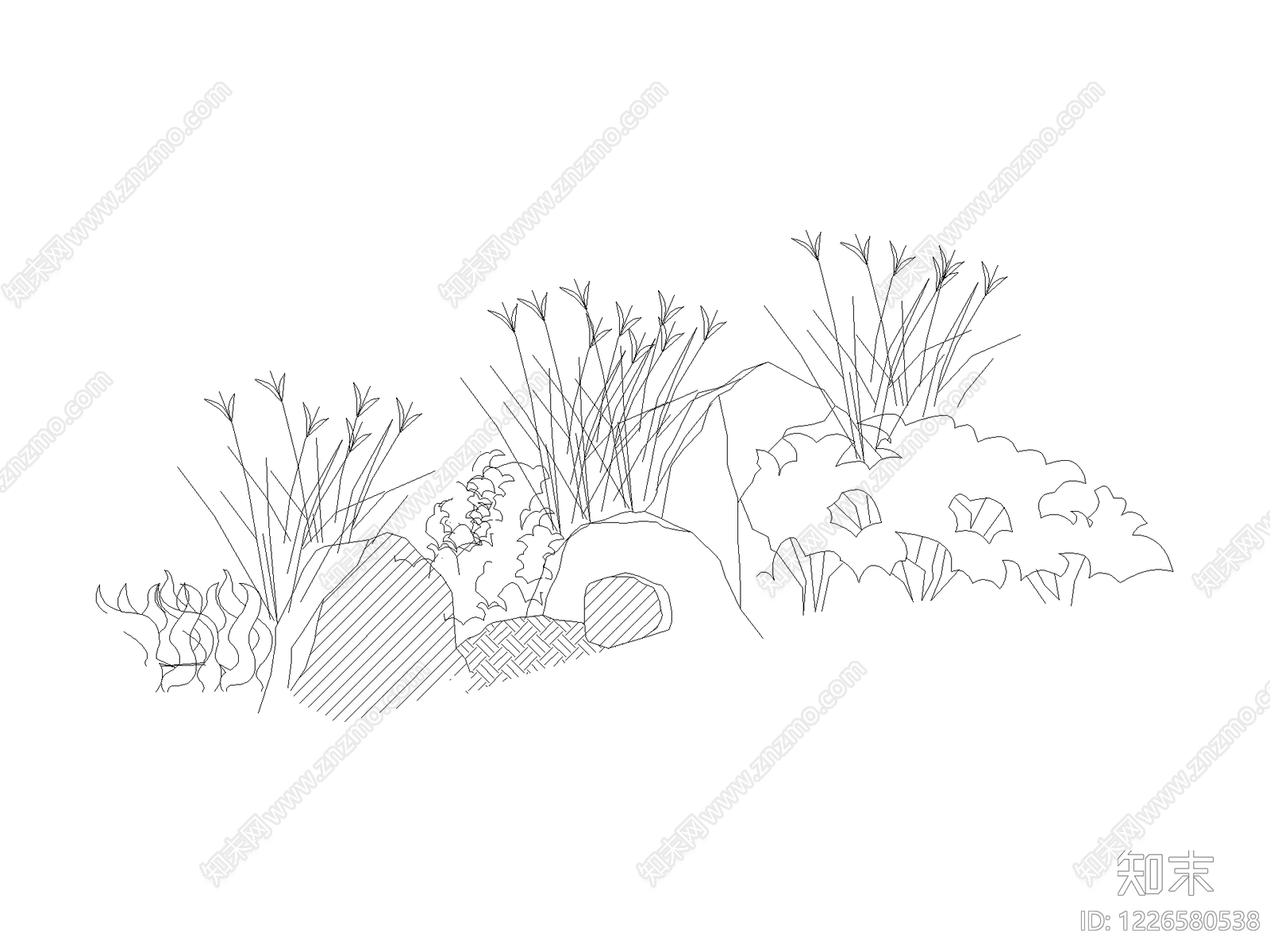 其他地被种植CAD图纸