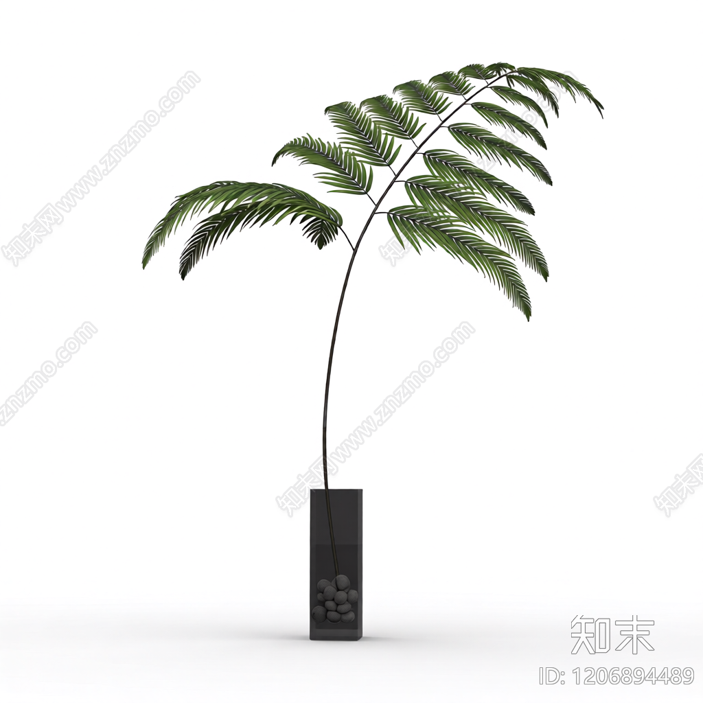 盆栽植物带花盆3D模型下载【ID:1206894489】
