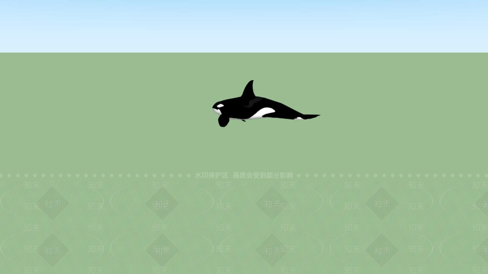 虎鲸SU模型下载【ID:1161710396】