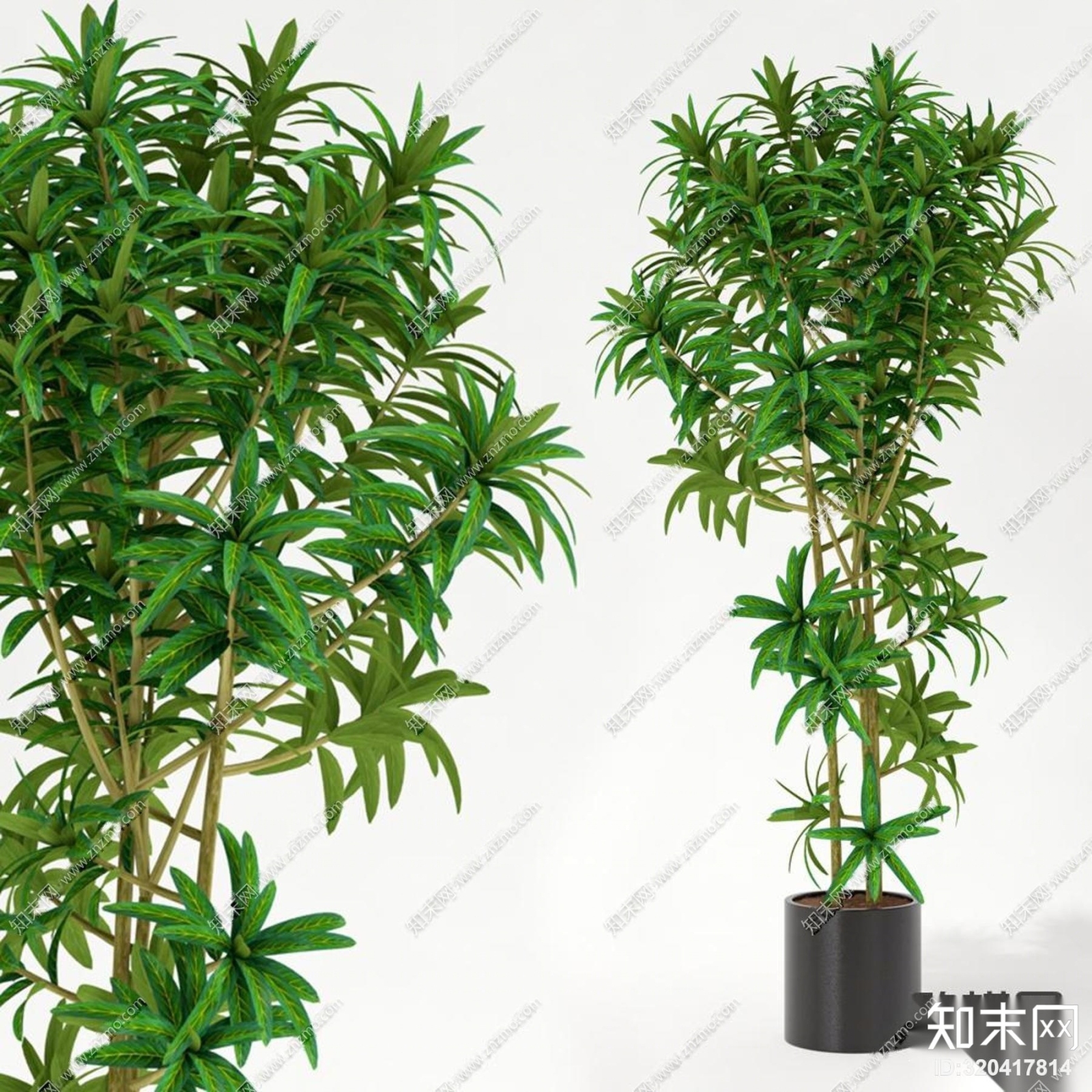 现代植物盆栽组合3D模型下载【ID:320417814】