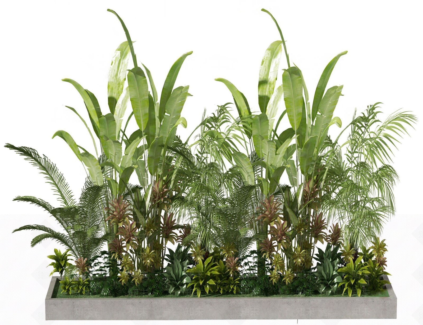 现代景观植物堆3D模型下载【ID:1112439399】