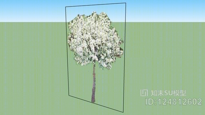 棒棒糖树SU模型下载【ID:124812602】