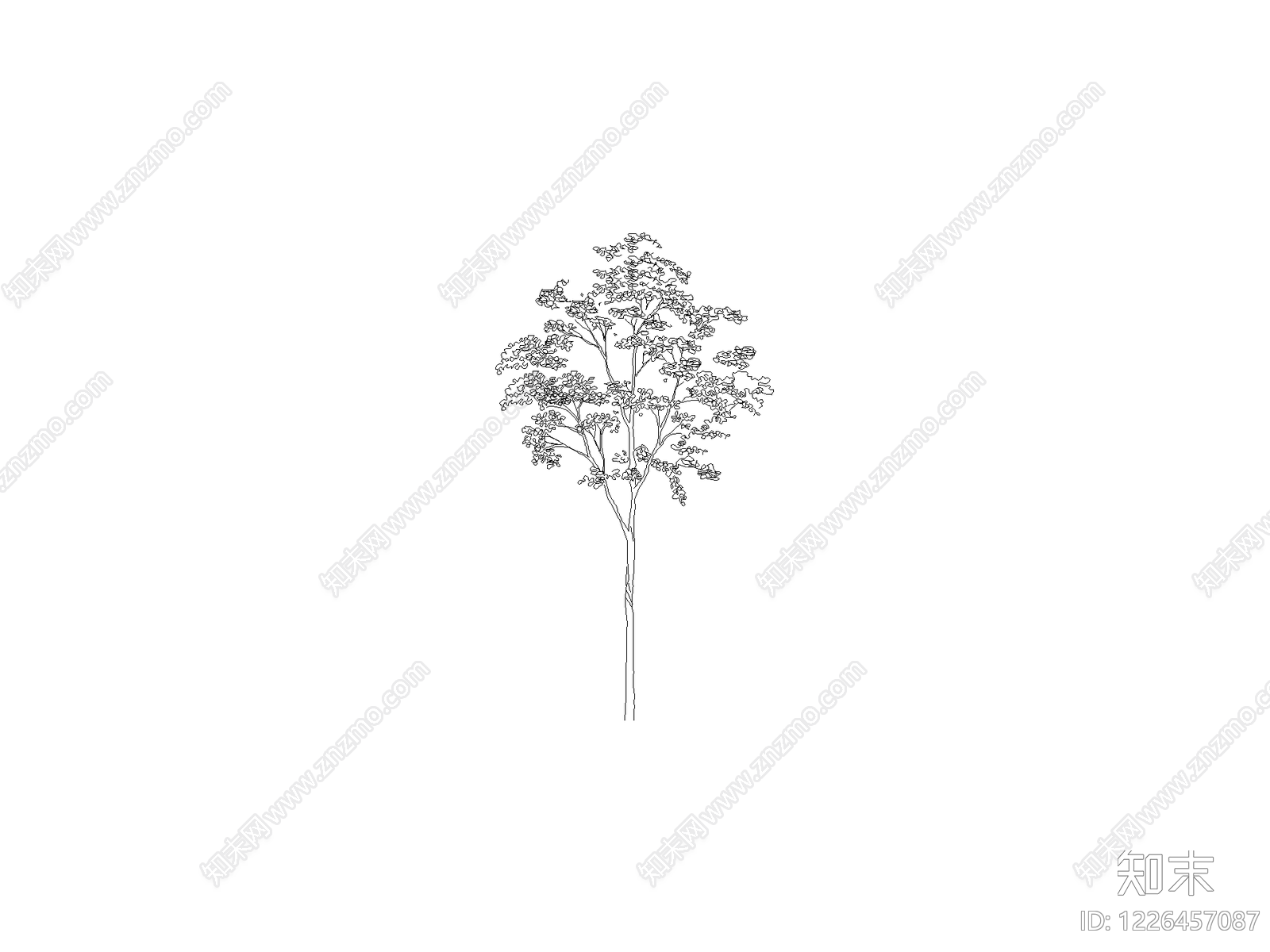 乔木种植CAD图纸