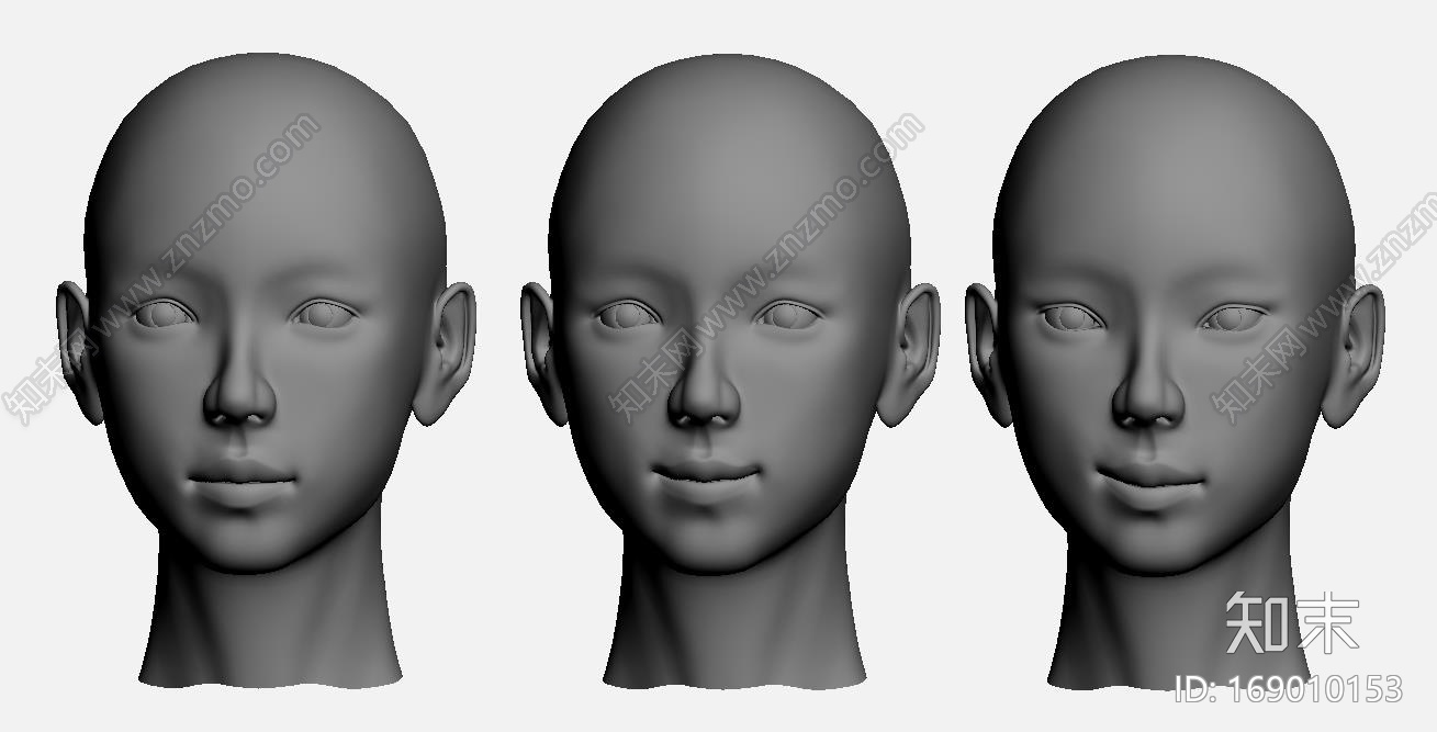 女人精美人头模型CG模型下载【ID:169010153】