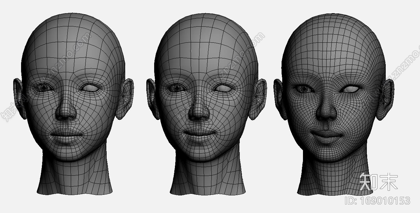 女人精美人头模型CG模型下载【ID:169010153】