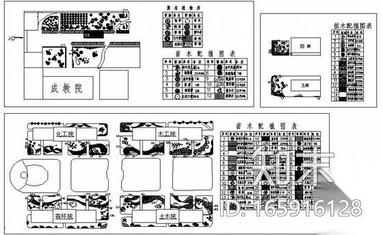 [江苏南京]某学校环境绿化设计图cad施工图下载【ID:165916128】