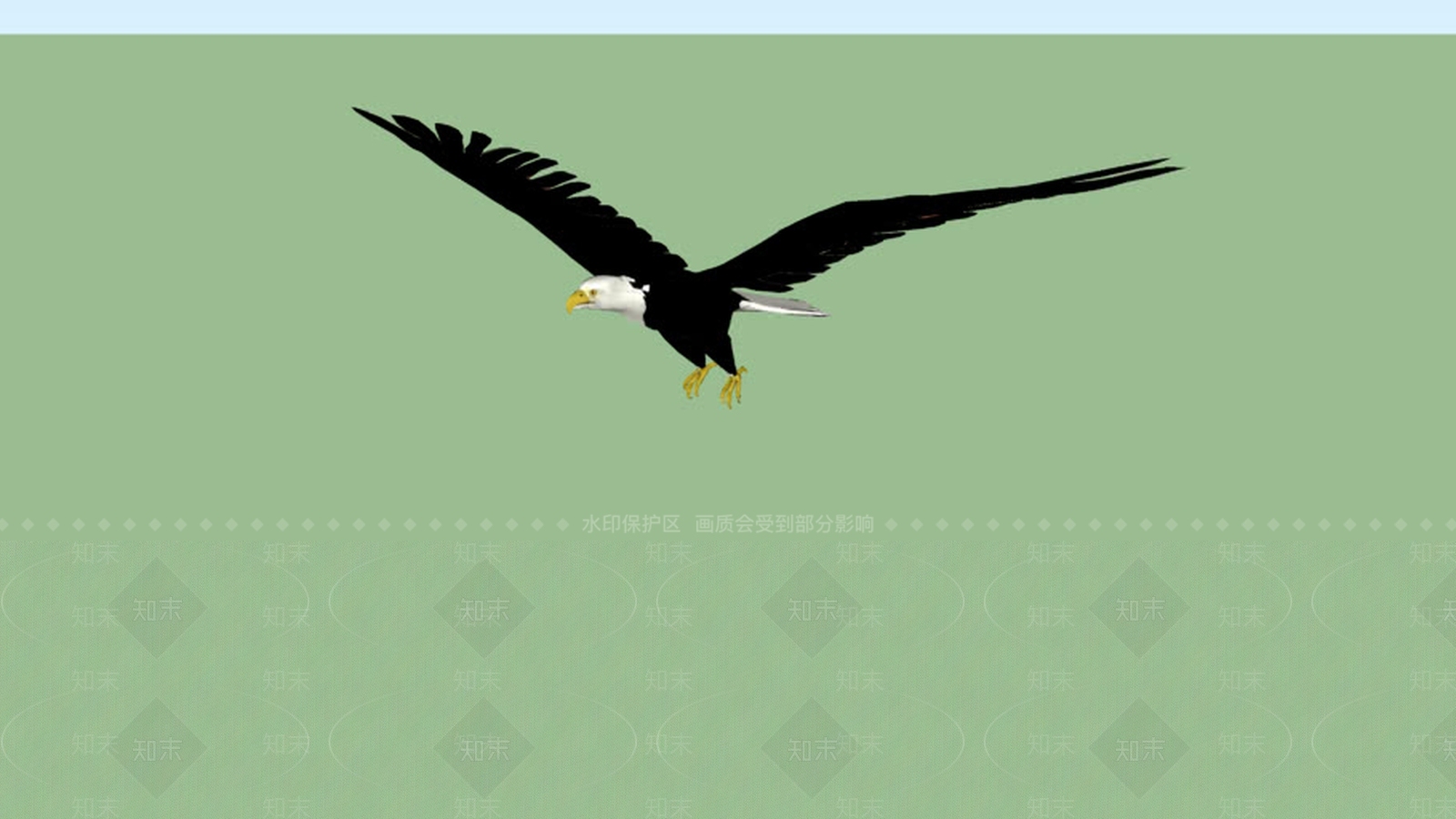 秃头Eagle2SU模型下载【ID:1161709415】