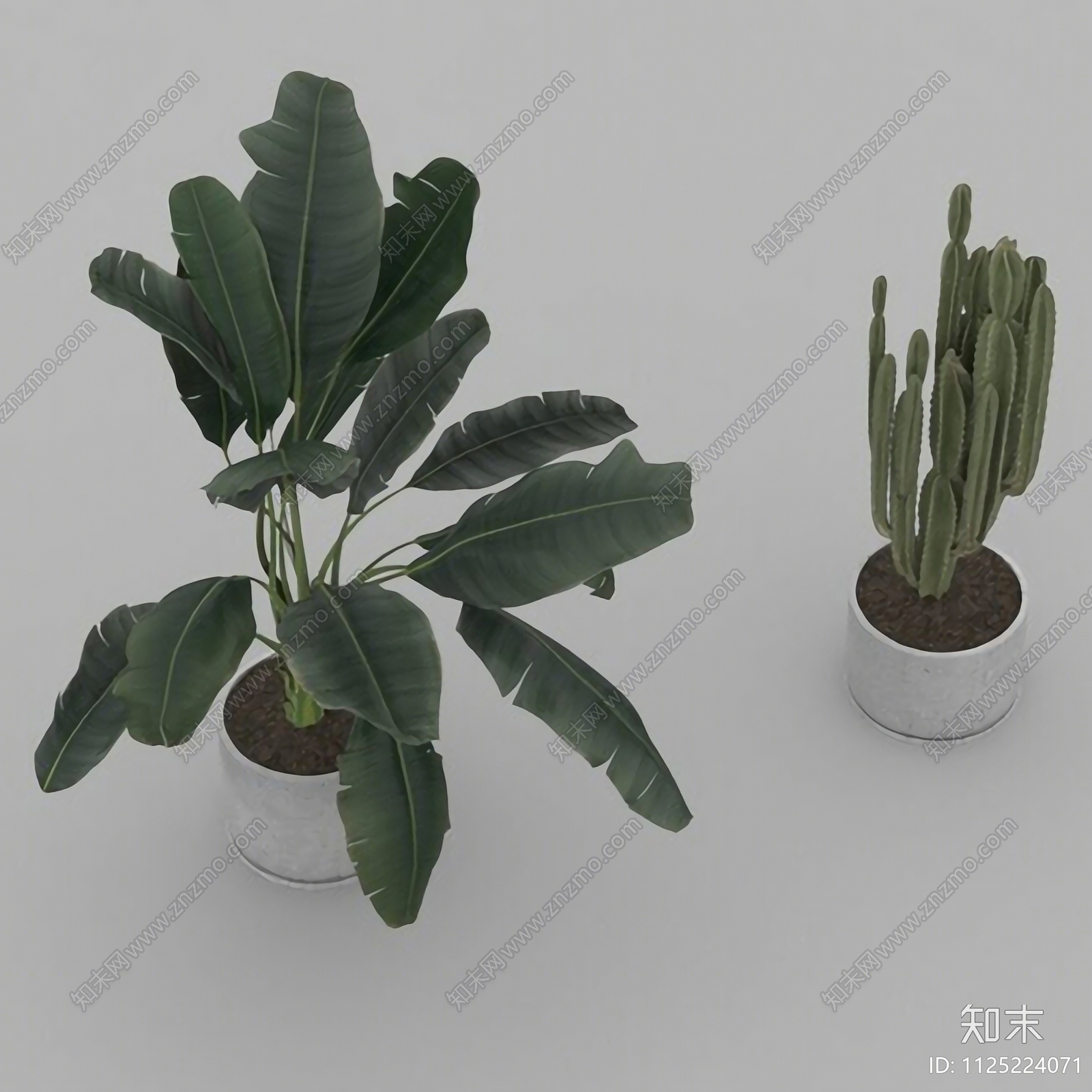 北欧简约绿植盆栽3D模型下载【ID:1125224071】