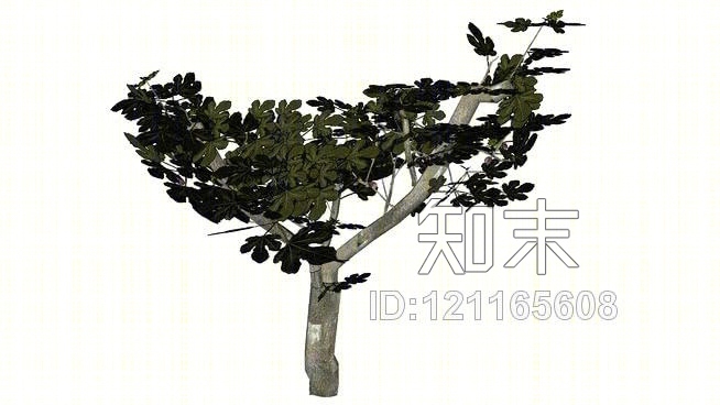 arbre无花果树的3D，3D，3DSU模型下载【ID:121165608】