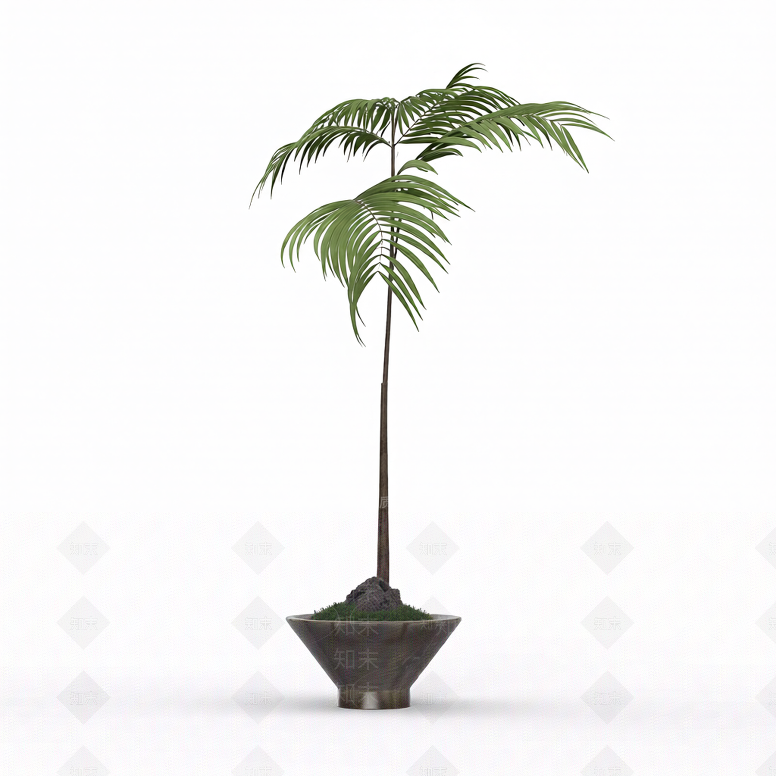 带盆完整盆栽3D模型下载【ID:1206202544】