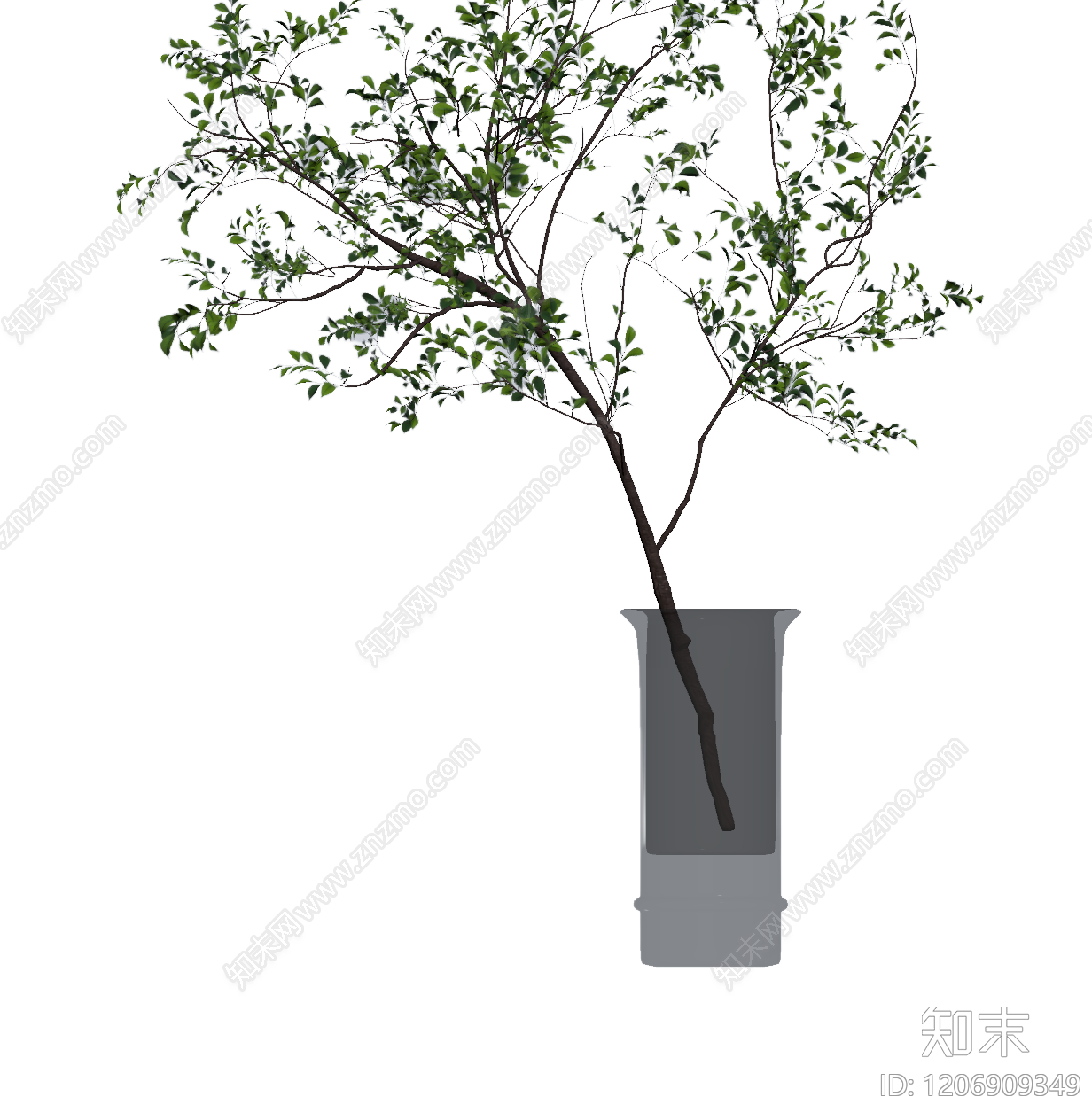 盆栽植物组合3D模型下载【ID:1206909349】