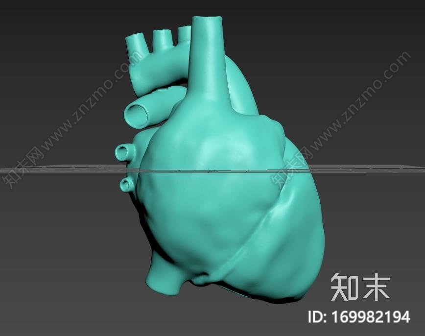 人类心脏模型3d打印模型下载【ID:169982194】