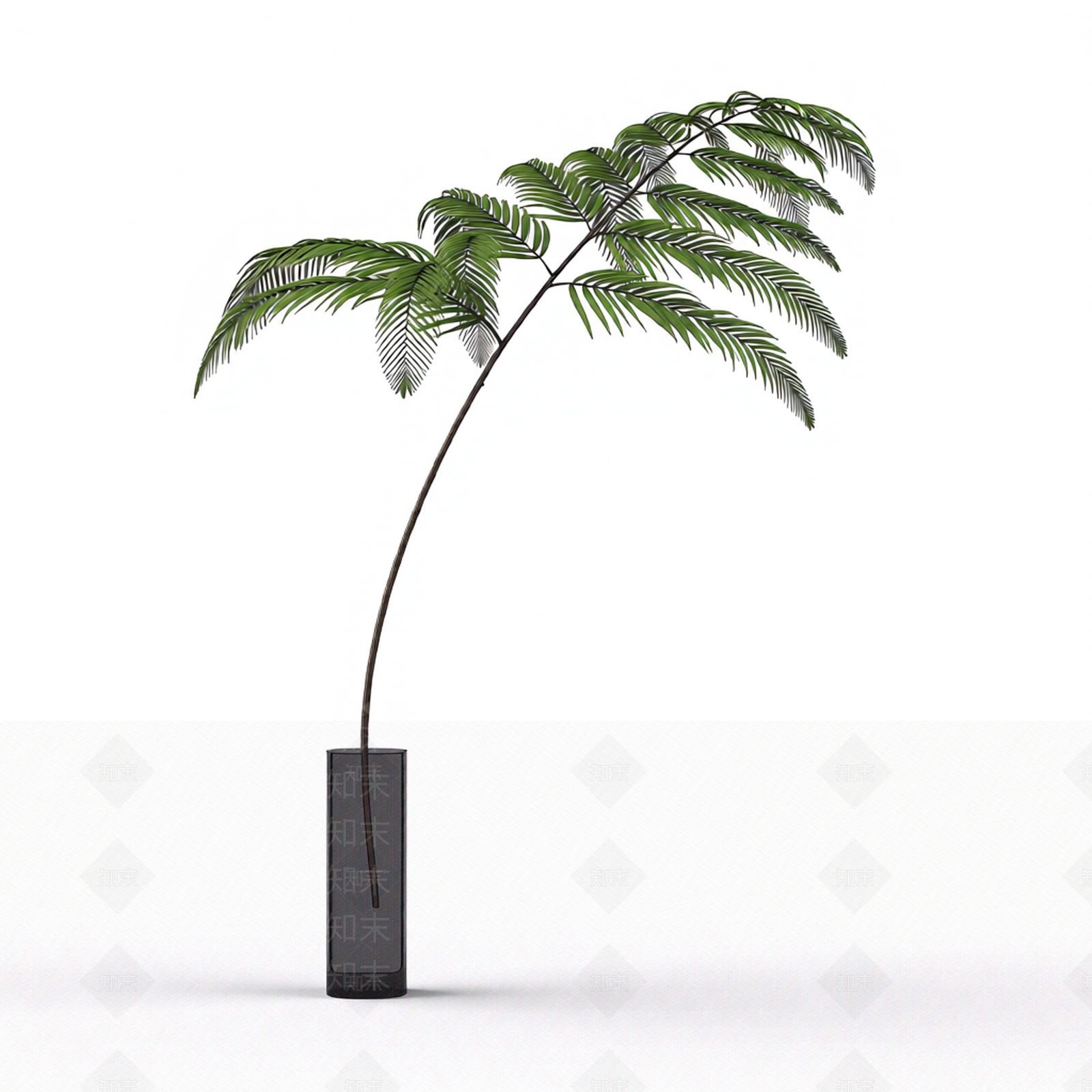 带瓶蕨类盆栽3D模型下载【ID:1206203685】