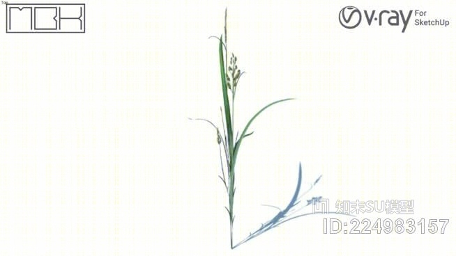 草，高聚合，VRY准备（055）SU模型下载【ID:224983157】