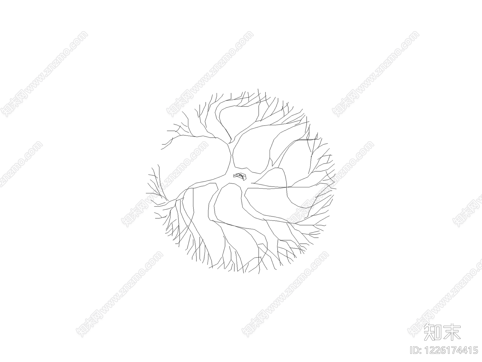 乔木种植CAD图纸