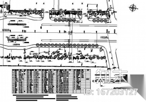 [山东]某市道路绿化设计施工图cad施工图下载【ID:167203127】