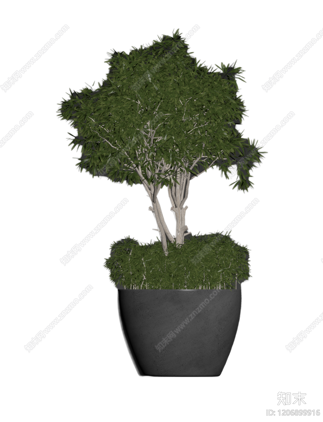 盆栽植物装饰3D模型下载【ID:1206899916】