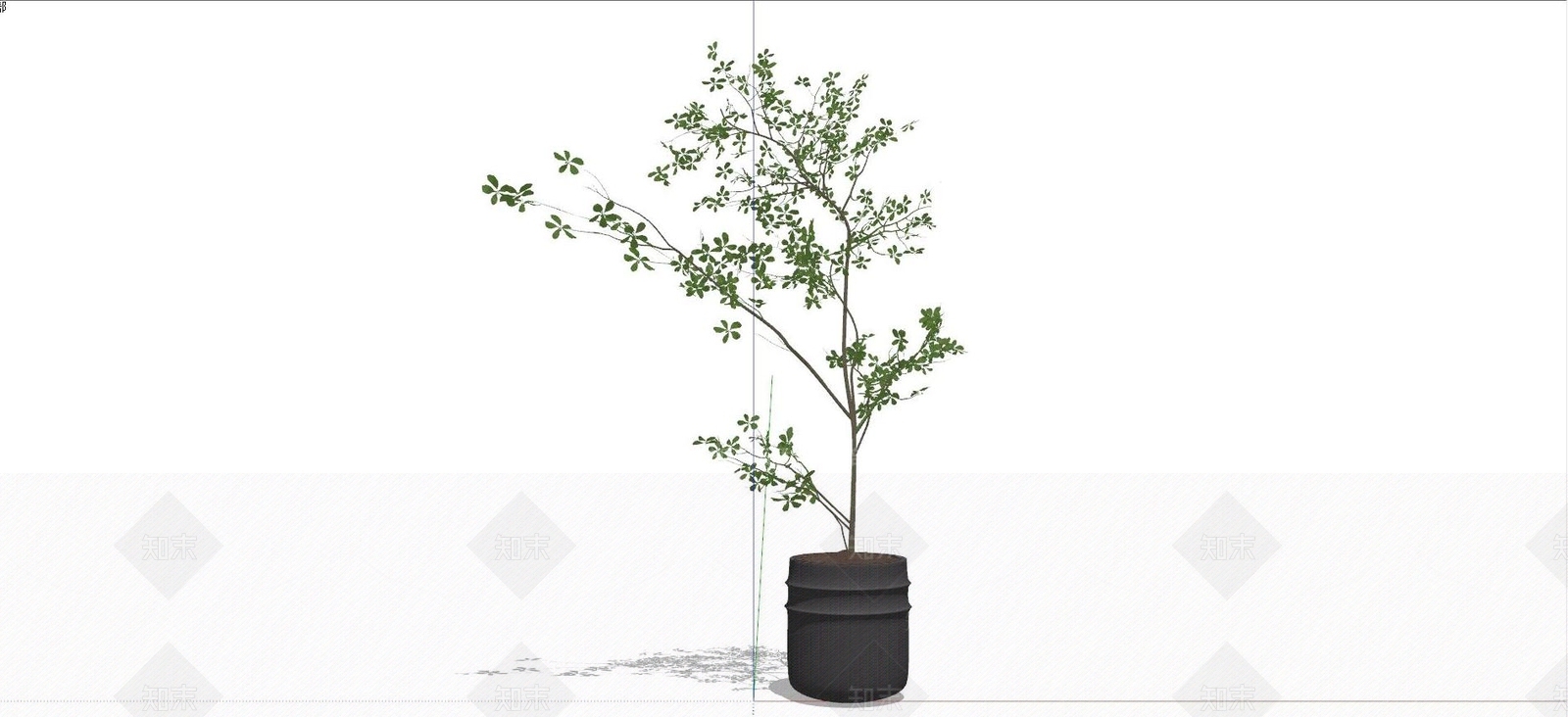 植物盆栽SU模型下载【ID:1128416341】