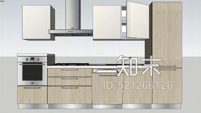 菊苣SU模型下载【ID:521266126】