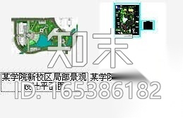 某校区局部景观平面图及植物配置总图施工图下载【ID:165386182】