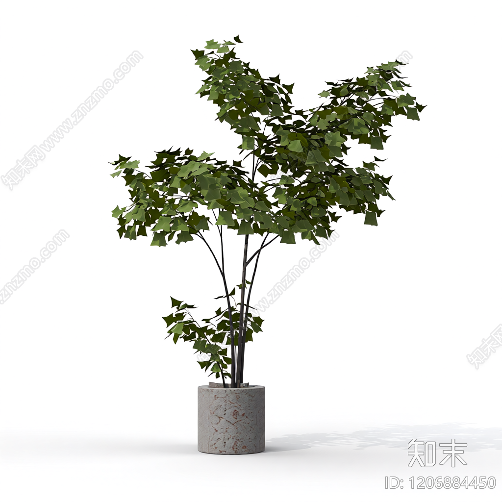 盆栽绿植3D模型下载【ID:1206884450】