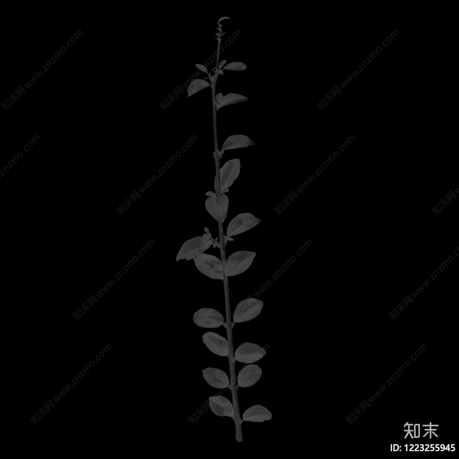 其他黑白凹凸贴图下载【ID:1223255945】