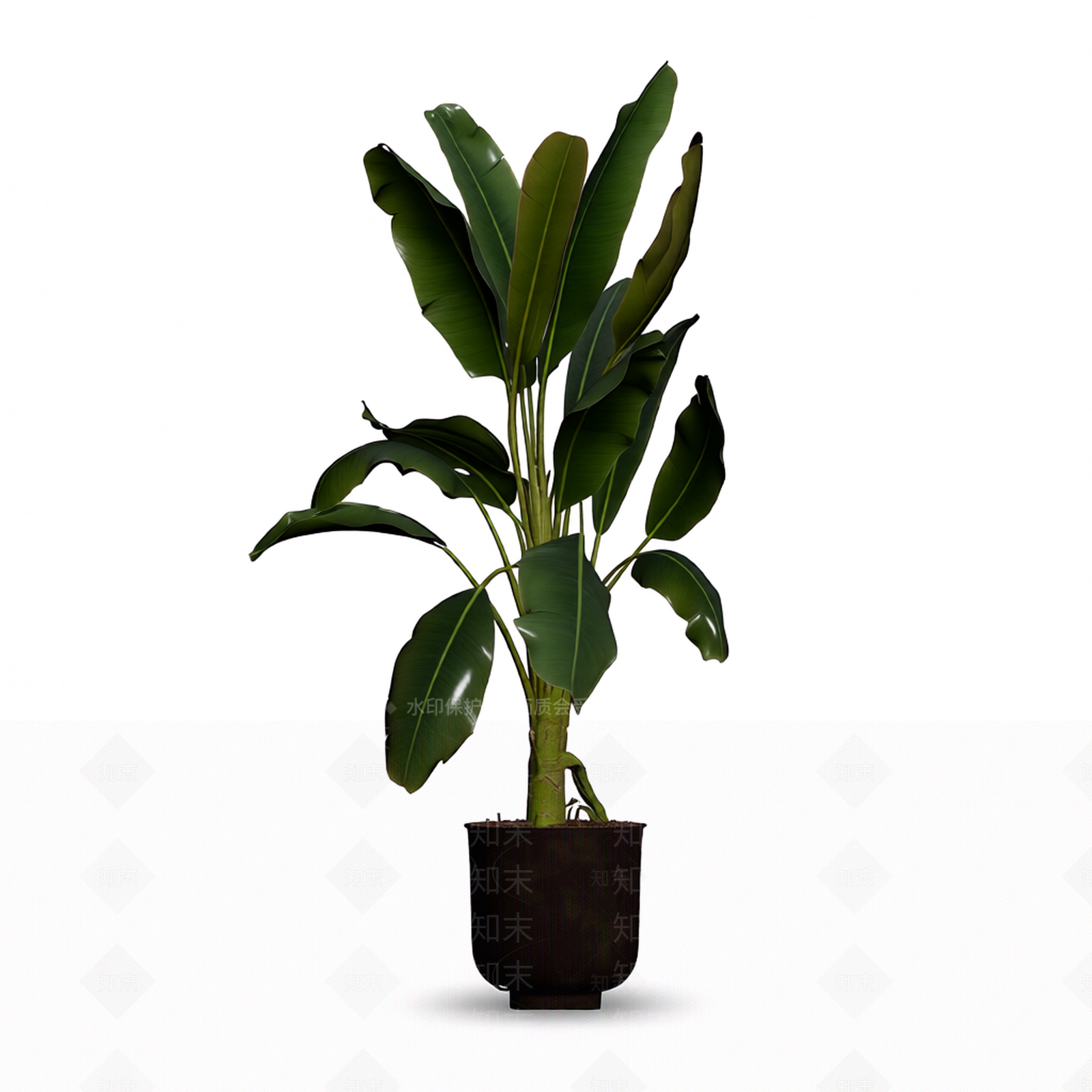 带盆阔叶盆栽3D模型下载【ID:1206196881】