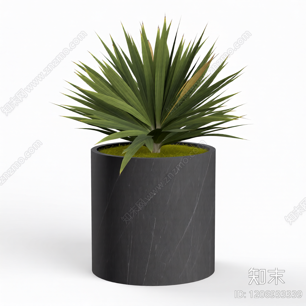 盆栽植物装饰3D模型下载【ID:1206933339】