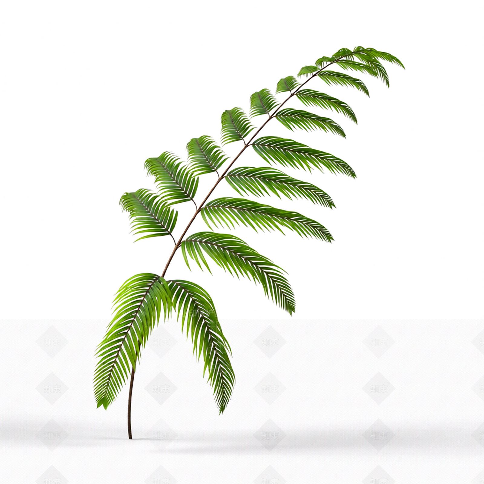 绿色枝叶植物模型3D模型下载【ID:1206186848】